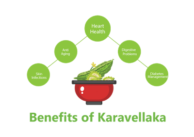 http://parijatak.com/get-the-wellness-from-karavellaka-the-magical-ayurvedic-herb/