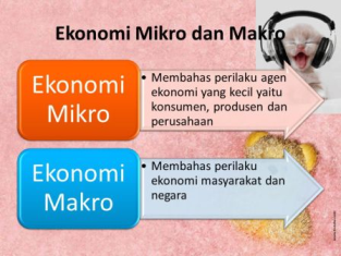 Pengertian Ekonomi Mikro Dan Ekonomi Makro