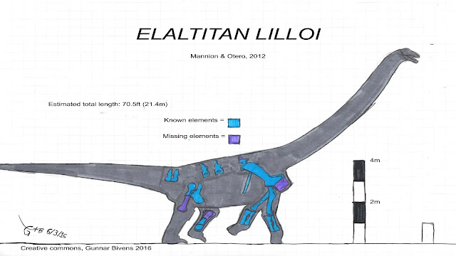 Elaltitan lilloi