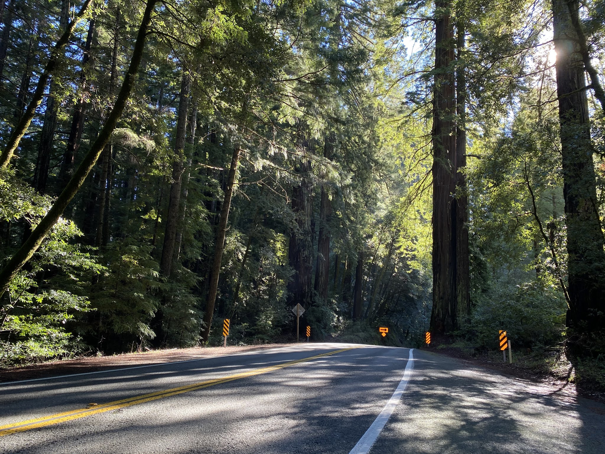 Us Route 101 Through Richardson Grove State Park