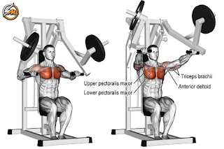 Brutal Chest Workout for Massive Gains