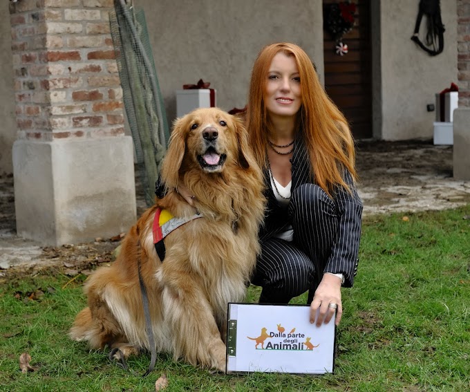 Tv, domenica 10.50 su Rete4, a “Dalla parte degli animali” con Michela Vittoria Brambilla