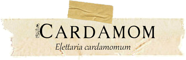 Magical and Medicinal Uses of Cardamom