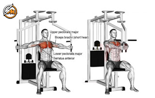 Brutal Chest Workout for Massive Gains