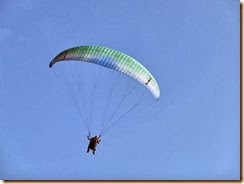 810鹿野熱汽球 004