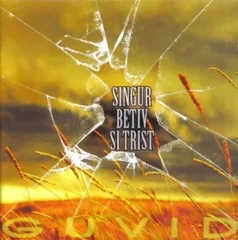 GUVID - Singur betiv si trist (cover)