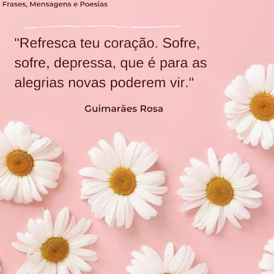 Frase de Guimarães Rosa