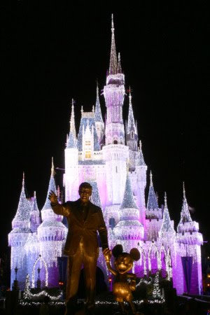 walt disney world castle at night. walt disney world castle