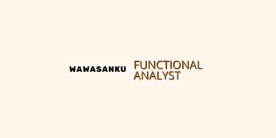 Functional Analyst