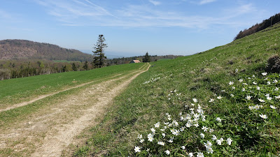 Blumiger Wiesenweg