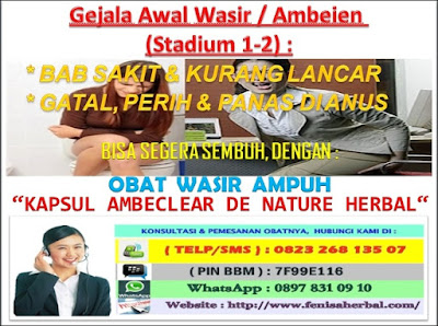 Obat Ambeien Pada Pria  _ Gejala Wasir / Ambeien Stadium 1 - 2