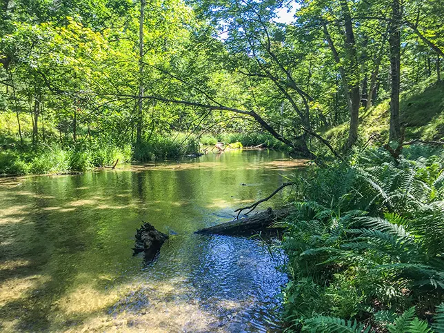 Ice Age Trail Mecan River Segment
