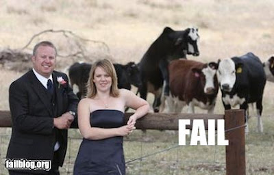 fail pictures