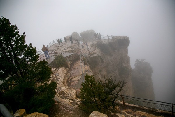 10-grand cyn fog