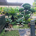 Jasa Taman Minimalis Rumah di Surabaya