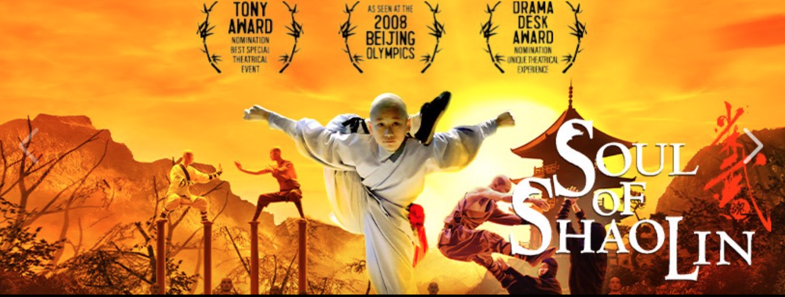 Soul of Shaolin 