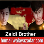 https://www.humaliwalayazadar.com/2020/08/zaidi-brother-nohay-2021.html