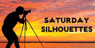 https://nixpixmix.blogspot.com/2016/09/saturday-silhouettes-66.html