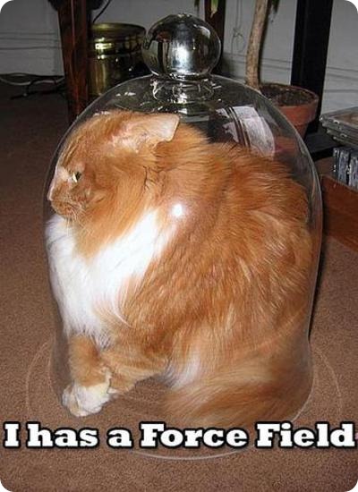 lolcats