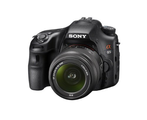 Sony A65 24.3 MP Translucent Mirror Digital SLR With 18-55mm Lens