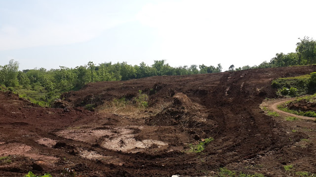 LIBURAN KE PROBOLINGGO: “MENUJU KE GUNUNG TUGEL TONGAS”