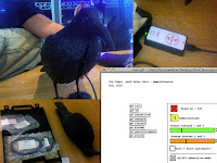 Bird Sensor