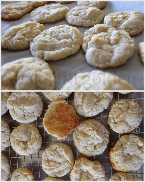 Lemon Cookies with Basil White Choco - BTG-012 Lemon Cookies with Basil White Choco - BTG-012