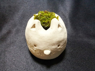 苔を入れた手作りの鉢(正面)