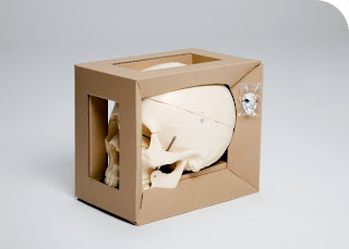 iArist's diamond skull do it yourself kit