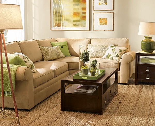 Chocolate Brown and Mint Color Scheme Living Room Ideas