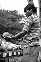 «Marchando una de coco»