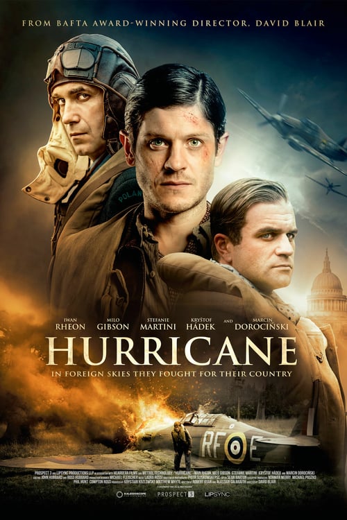 [HD] Hurricane 2018 Ver Online Gratis