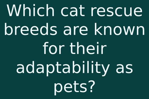Which cat rescue breeds are known for their adaptability as pets?