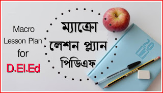 Download Macro Lesson Plan PDF in Bengali - ব্যপ্ত পাঠটিকা PDF