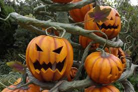 Halloween Yard Decorations on Creating A Halloween Garden   Halloween Decorations Ideas