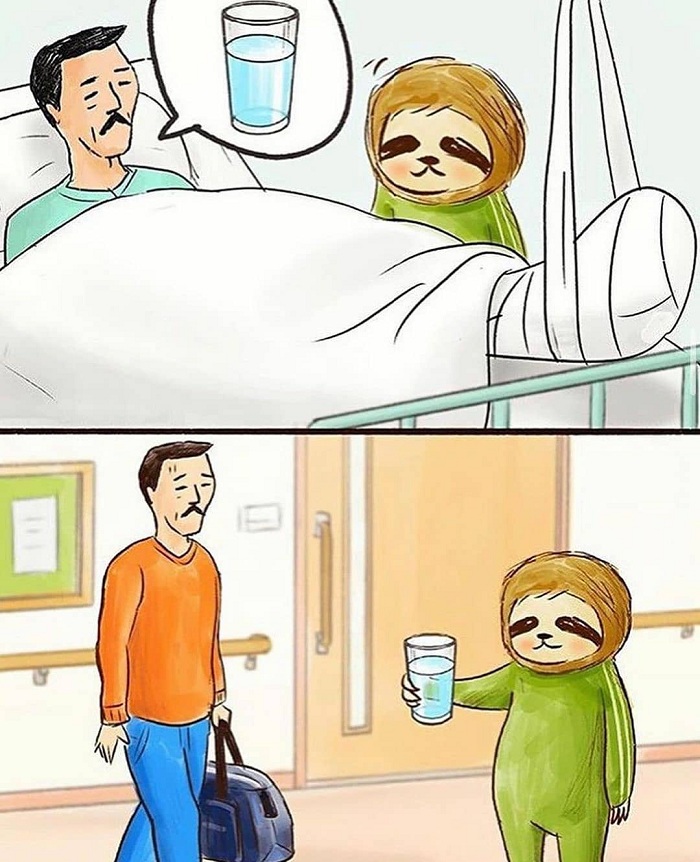 Kartun Lawak Mengenai Sloth (11 Gambar)