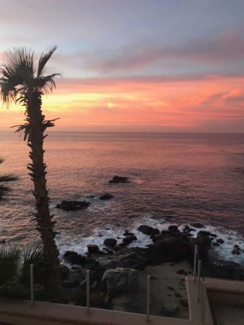 Sunset over the ocean with a palm tree in the foreground