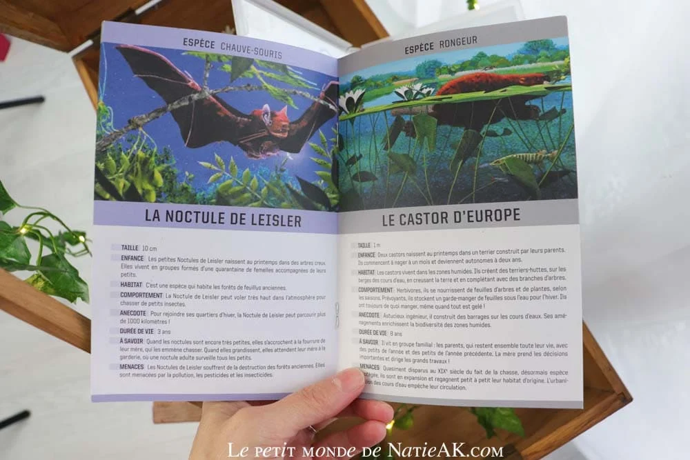 comment éveiller les enfants à la nature et les animaux ?