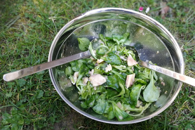 Feldsalat mit geräucherter Forelle 