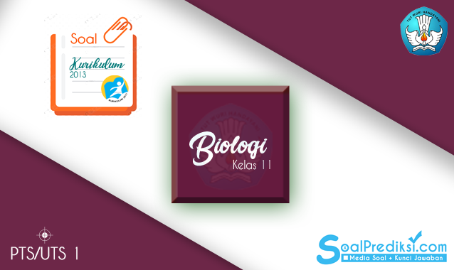 Soal UTS Biologi Kelas 11 SMA Semester 1 Tahun 2019/2020