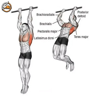 The 8 Best Lat Exercises for Strength and Muscle Growth