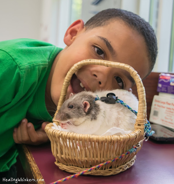 Vincent the Therapy Rat reading with kids at the Chattooga County Library