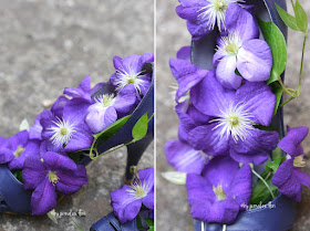 using clematis in flower arrangements, clematis mov lila in pantofi