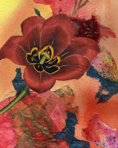 a red poppy is laid over torn decorative papers and watercolour.