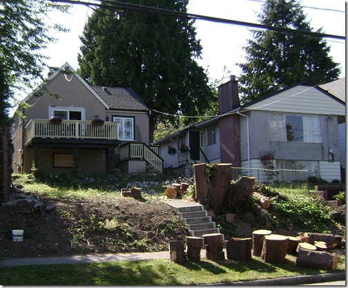 DSC02233