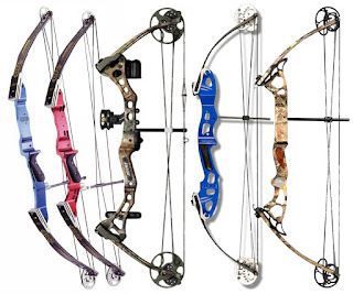 Compound Bows - 6 Types of Archery Bows