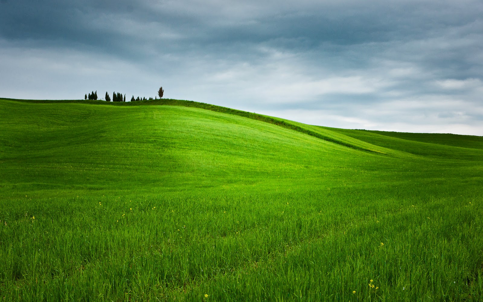 Windows Landscape