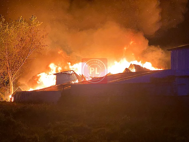 Incendio consume gimnasio de colegio Montessori en Puerto Montt (vídeo)