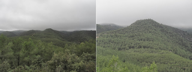 El Castellot-Puig de la Cogulla-Torre de Cal Pascol, Puig de la Cogulla