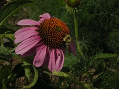 DSCN9526